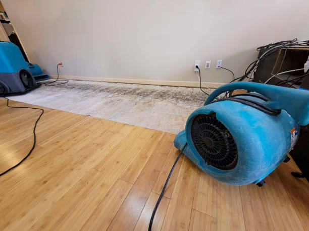 Professional Burst Pipe Water Damage technician working in Shandon, CA